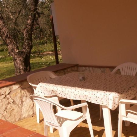 Villa Oleandro Ciccino Vieste Ngoại thất bức ảnh
