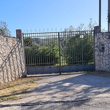 Villa Oleandro Ciccino Vieste Ngoại thất bức ảnh